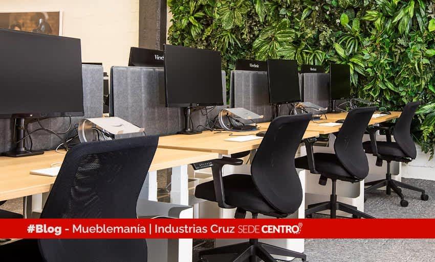 Imagen destacada Oficinas verdes: Visión de productividad